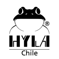 Hyla Chile