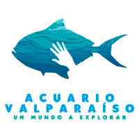 25% - Acuario Valparaíso